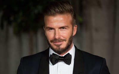 小鸟体育动态-从此走上正轨