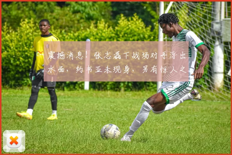 震撼消息！张志磊下战场对手浮出水面，约书亚未现身，另有惊人之选！