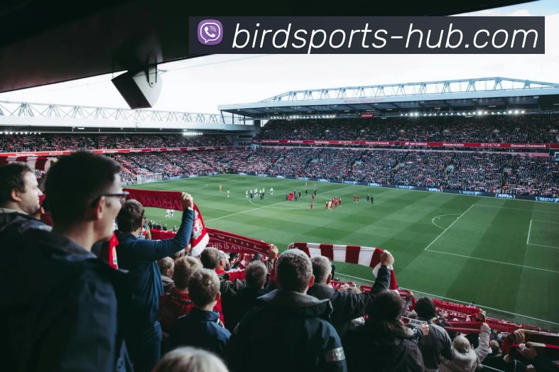 体育资讯中心APP 体育赛事宣传图